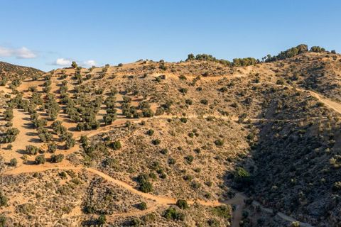 Helårsgrund i Colmenar, Malaga, Colmenar - € 7.500.000 | Ref: R5431861 - foto 7