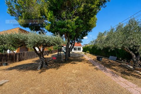 Villa en L'Ampolla, Tarragona, L'Ampolla - € 268.000 | Ref: VIL_241 - photo 3
