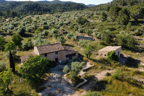 Finca i Tivissa, Tarragona, Tivissa - € 395.000 | Ref: S-1601391 - foto 1
