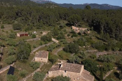 Finca i Tivissa, Tarragona, Tivissa - € 395.000 | Ref: S-1601391 - foto 3