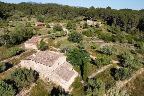 Finca i Tivissa, Tarragona, Tivissa - € 395.000 | Ref: S-1601391 - foto 10