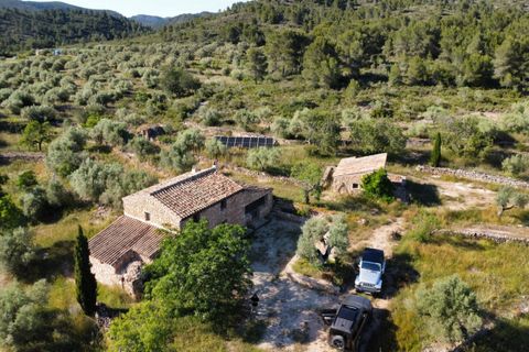 Finca i Tivissa, Tarragona, Tivissa - € 395.000 | Ref: S-1601391 - foto 11