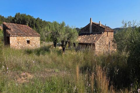 Finca i Tivissa, Tarragona, Tivissa - € 395.000 | Ref: S-1601391 - foto 14