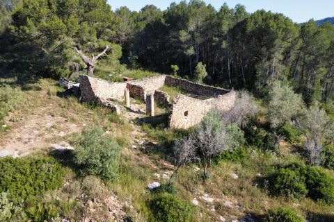 Finca i Tivissa, Tarragona, Tivissa - € 395.000 | Ref: S-1601391 - foto 15