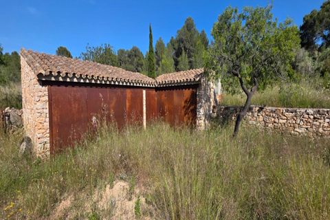 Finca i Tivissa, Tarragona, Tivissa - € 395.000 | Ref: S-1601391 - foto 16