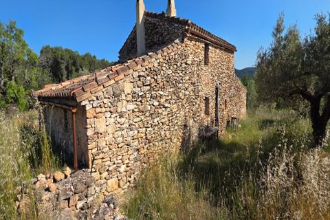Finca i Tivissa, Tarragona, Tivissa - € 395.000 | Ref: S-1601391 - foto 17