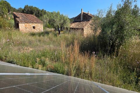 Finca i Tivissa, Tarragona, Tivissa - € 395.000 | Ref: S-1601391 - foto 18