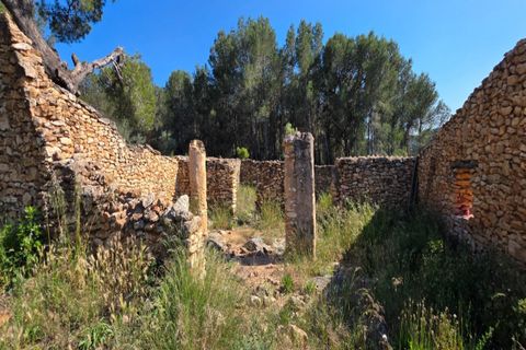 Finca i Tivissa, Tarragona, Tivissa - € 395.000 | Ref: S-1601391 - foto 19