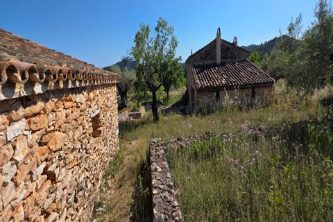 Finca i Tivissa, Tarragona, Tivissa - € 395.000 | Ref: S-1601391 - foto 21