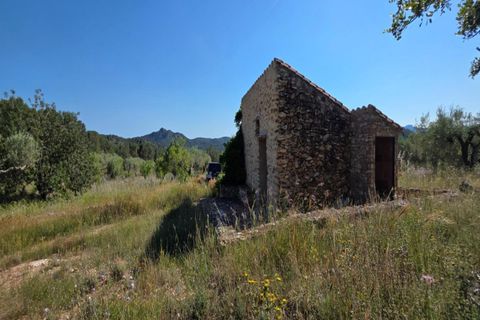 Finca i Tivissa, Tarragona, Tivissa - € 395.000 | Ref: S-1601391 - foto 22