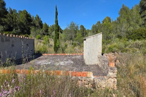 Finca i Tivissa, Tarragona, Tivissa - € 395.000 | Ref: S-1601391 - foto 23