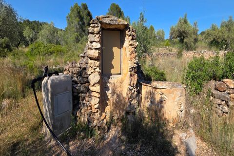 Finca i Tivissa, Tarragona, Tivissa - € 395.000 | Ref: S-1601391 - foto 24