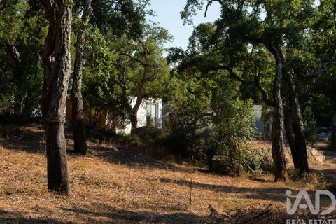 Stadthaus in Monchique, Faro, Monchique - € 188.000 | Ref: 166123 - Foto 20