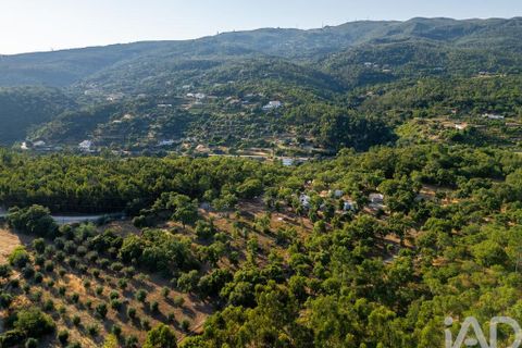 Stadthaus in Monchique, Faro, Monchique - € 188.000 | Ref: 166123 - Foto 22