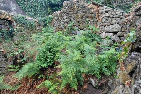 Helårsgrund i Melgaco, Viana do Castelo, Melgaco - € 9.000 | Ref: 972629 - foto 7