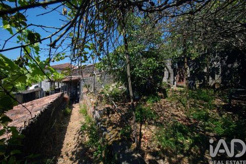 Rekkehus i Lousa, Coimbra, Lousa - € 140 000 | Ref: 969530 - foto 19