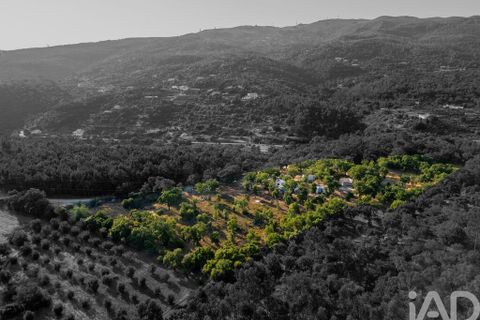 Stadthaus in Monchique, Faro, Monchique - € 368.000 | Ref: 166126 - Foto 21
