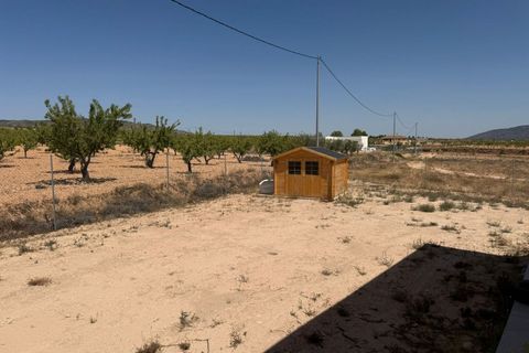 Villa i Pinoso, Alicante, Pinoso - € 425.000 | Ref: MLSC8469424/13477 - foto 24