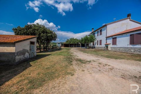Farm hus i Cinigiano, Grosseto, Cinigiano - € 595.000 | Ref: R07298CIRU - foto 18