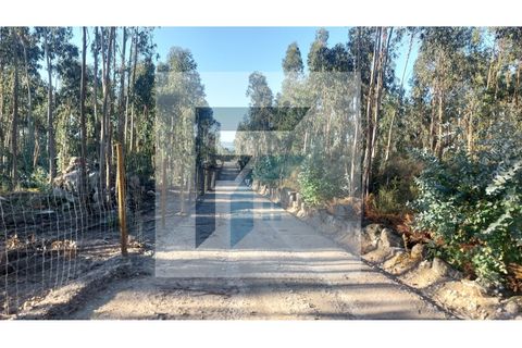 Helårsgrund i Paredes, Porto, Paredes - € 29.000 | Ref: SÒL_4 - foto 3