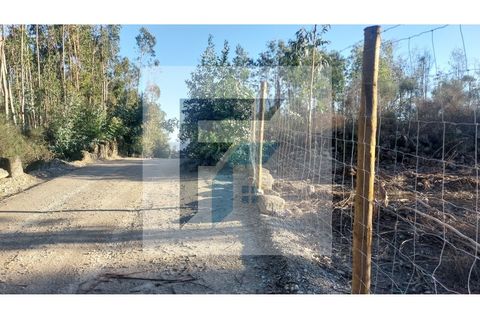 Helårsgrund i Paredes, Porto, Paredes - € 29.000 | Ref: SÒL_4 - foto 4
