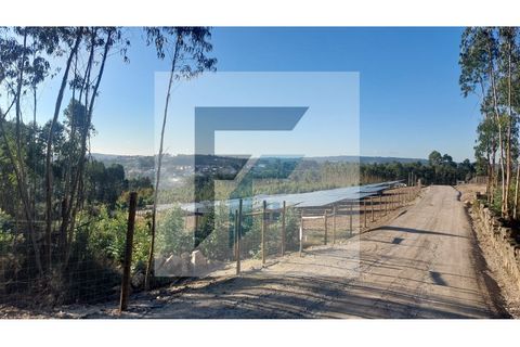 Helårsgrund i Paredes, Porto, Paredes - € 29.000 | Ref: SÒL_4 - foto 5