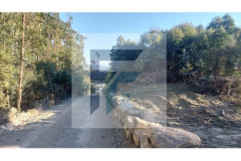 Helårsgrund i Paredes, Porto, Paredes - € 29.000 | Ref: SÒL_4 - foto 6