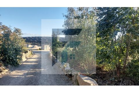 Helårsgrund i Paredes, Porto, Paredes - € 29.000 | Ref: SÒL_4 - foto 7