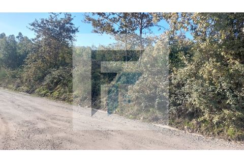 Helårsgrund i Paredes, Porto, Paredes - € 29.000 | Ref: SÒL_4 - foto 8