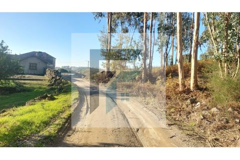 Helårsgrund i Paredes, Porto, Paredes - € 29.000 | Ref: SÒL_4 - foto 9