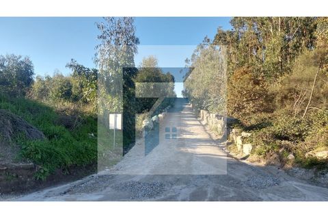 Helårsgrund i Paredes, Porto, Paredes - € 29.000 | Ref: SÒL_4 - foto 10