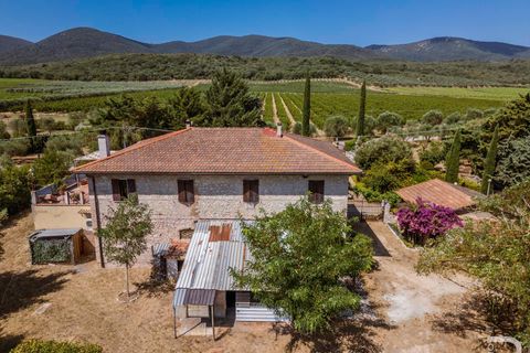 Landejendom i Grosseto, Grosseto, Grosseto - € 1.200.000 | Ref: R07301GRRU - foto 4