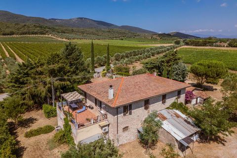 Landejendom i Grosseto, Grosseto, Grosseto - € 1.200.000 | Ref: R07301GRRU - foto 3