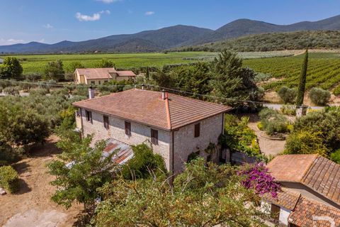 Landejendom i Grosseto, Grosseto, Grosseto - € 1.200.000 | Ref: R07301GRRU - foto 6
