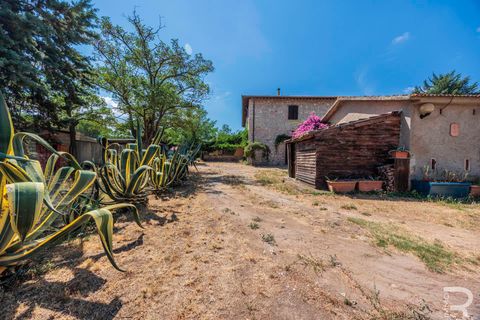 Landejendom i Grosseto, Grosseto, Grosseto - € 1.200.000 | Ref: R07301GRRU - foto 17