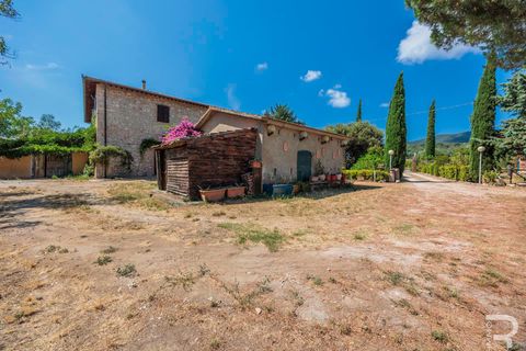 Landejendom i Grosseto, Grosseto, Grosseto - € 1.200.000 | Ref: R07301GRRU - foto 16