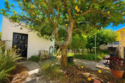 Haus in Buarcos, Coimbra, Buarcos - € 600.000 | Ref: HC 1992 - Foto 50