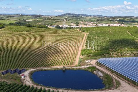Landejendom i Cadaval, Lisbon, Cadaval - € 2.600.000 | Ref: FG495 - foto 2