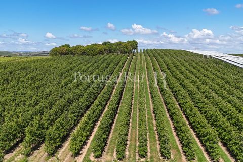 Landejendom i Cadaval, Lisbon, Cadaval - € 2.600.000 | Ref: FG495 - foto 3
