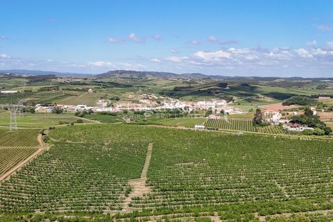 Landejendom i Cadaval, Lisbon, Cadaval - € 2.600.000 | Ref: FG495 - foto 7