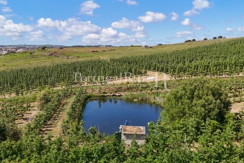 Landejendom i Cadaval, Lisbon, Cadaval - € 2.600.000 | Ref: FG495 - foto 9