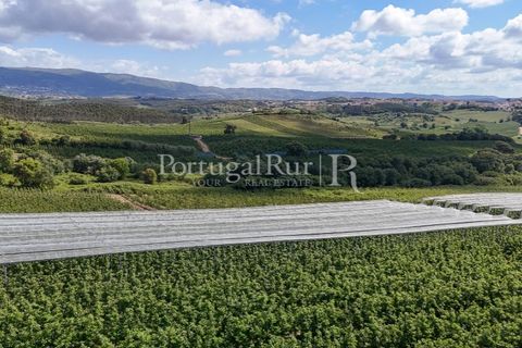 Landejendom i Cadaval, Lisbon, Cadaval - € 2.600.000 | Ref: FG495 - foto 21