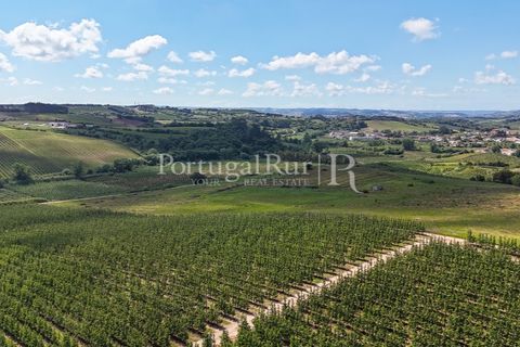 Landejendom i Cadaval, Lisbon, Cadaval - € 2.600.000 | Ref: FG495 - foto 22