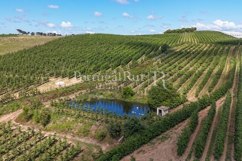 Landejendom i Cadaval, Lisbon, Cadaval - € 2.600.000 | Ref: FG495 - foto 23