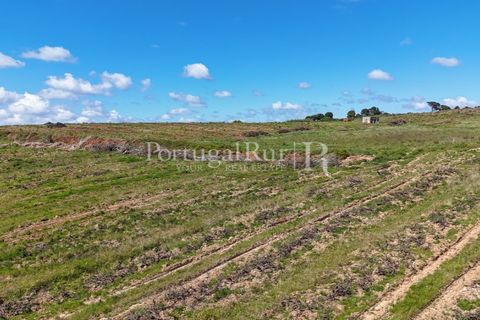Landejendom i Cadaval, Lisbon, Cadaval - € 2.600.000 | Ref: FG495 - foto 24