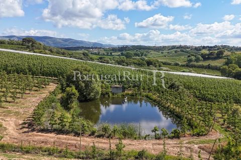Landejendom i Cadaval, Lisbon, Cadaval - € 2.600.000 | Ref: FG495 - foto 26