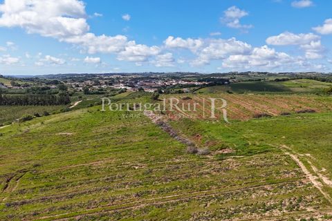 Landejendom i Cadaval, Lisbon, Cadaval - € 2.600.000 | Ref: FG495 - foto 28