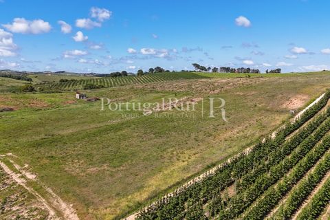 Landejendom i Cadaval, Lisbon, Cadaval - € 2.600.000 | Ref: FG495 - foto 29
