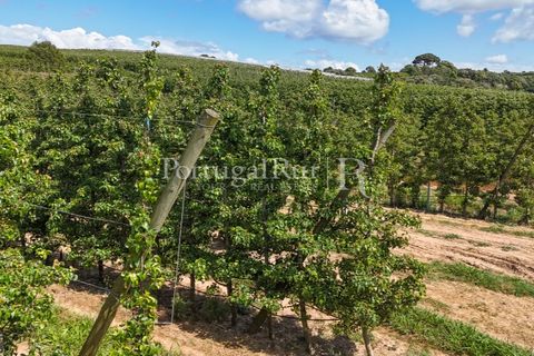 Landejendom i Cadaval, Lisbon, Cadaval - € 2.600.000 | Ref: FG495 - foto 34
