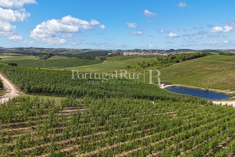 Landejendom i Cadaval, Lisbon, Cadaval - € 2.600.000 | Ref: FG495 - foto 37